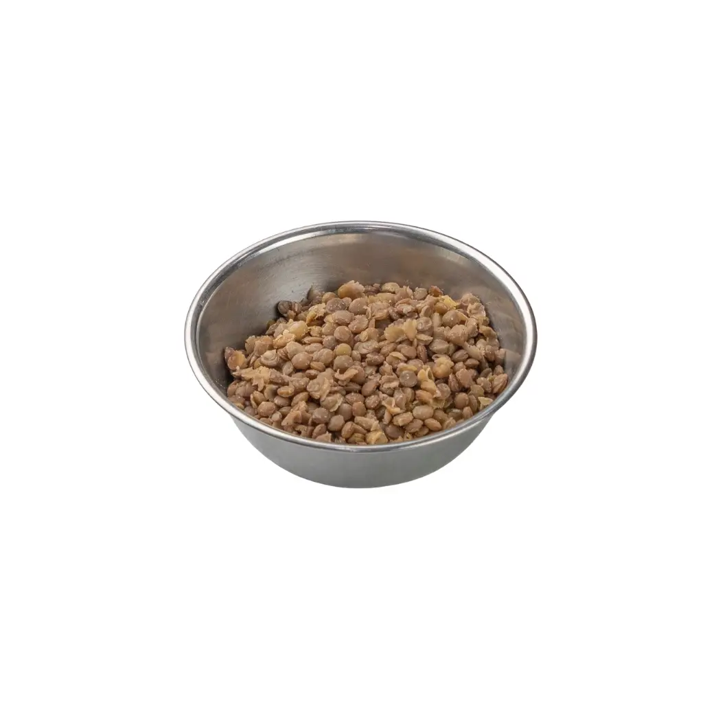 Koshary Lentils
